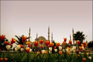 İstanbul’da Baharın Müjdecisi Laleler